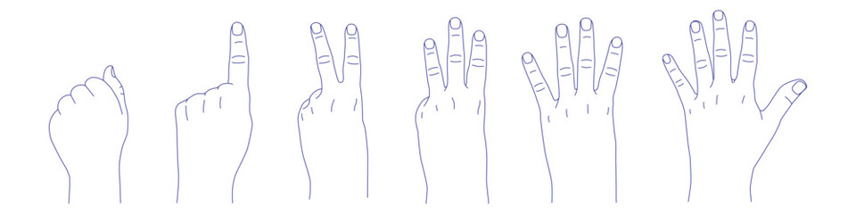 Set of hand gestures in various positions sketch. Counting with fingers. One, two, three, four and five. Fist and palm back. Index, middle, ring, little fingers and thumb