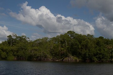 Centla Mangroves on Grijalva River.