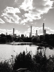 Naklejka premium Black and White central park