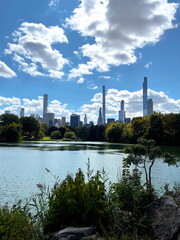 Naklejka premium Summer in Central Park