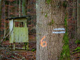 Hoch und Jägersitz am Waldrand