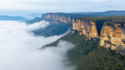 A scenic view of cliffs shrouded in mist and surrounded by lush greenery.