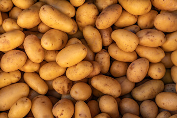 arrière plan avec un fond uni de patate, texture agréable, en transparence, png, 