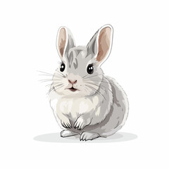 Fototapeta premium Chinchilla Cute Small Rodent Animal Vector Illustration