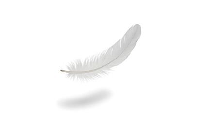 Delicate White Feather Floating Gracefully, Isolated on White Background