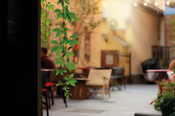 vintage aesthetic cafe restaurant patio furniture morning people silhouette background blurred space with foliage curly branch foreground