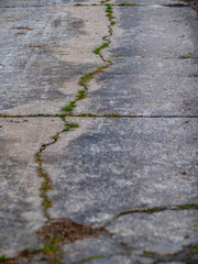 Obraz premium Strassenschäden auf einer alten Teerstrasse