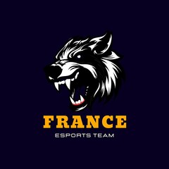 The France E sports logo for your Designe.