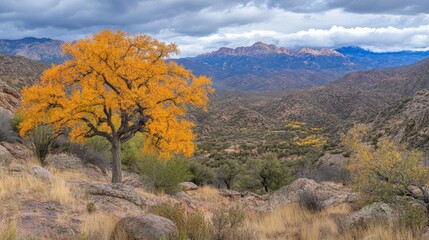 Obraz premium A vibrant autumn landscape featuring a golden tree amidst rocky hills and distant mountains.