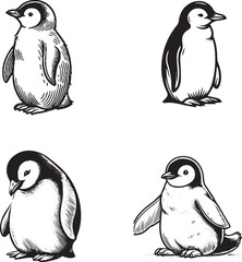 Hand-Drawn Penguin Illustrations Set © Haider