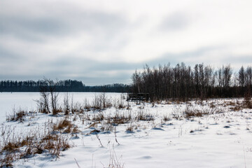 Winter Landscape with lake in snow, trees and dry grass