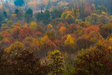 autumn colors visible on the trees