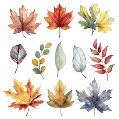 A set of watercolor leaves with a variety of colors and shapes