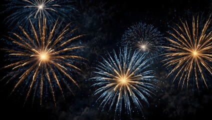 Colorful fireworks explode against a dark night sky.

