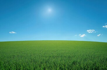 Obraz premium Lush green field under a bright blue sky with a radiant sun shining in the backdrop