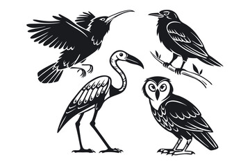 silhouette illustrations of various bird species in black and white. eps 10