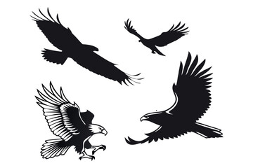 silhouette of majestic eagles in flight and hunting poses. eps 10