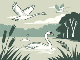 serene swan lake illustration with flying and swimming swans. eps 10