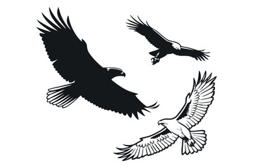 Fototapeta premium majestic birds in flight: a trio of soaring eagles in black and white illustration. eps 10
