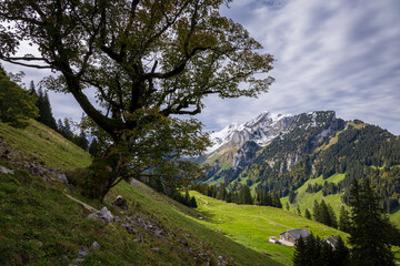 landscape in the mountains of alpstein switzerland in autumn