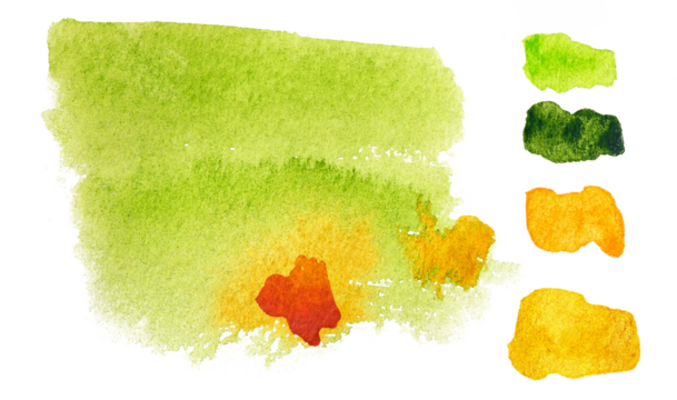 Colorful watercolor spot on isolated white background. Set of yellow, green, and orange blots. Colored aquarelle simple. Hand drawn watercolor splotch