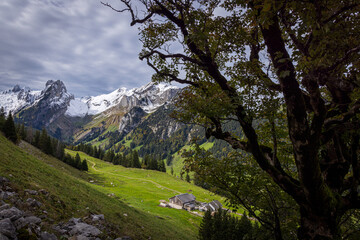 landscape in the mountains of alpstein in the alps of switzerland during autumn
