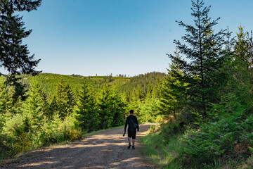 Fototapeta premium man walking down dirt road through an evergreen pine tree forest 