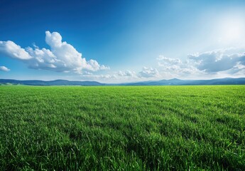 Fototapeta premium Expansive Green Meadow Under a Bright Blue Sky with Fluffy Clouds and Distant Mountains, Perfect for Nature, Landscape, and Outdoor Photography Projects