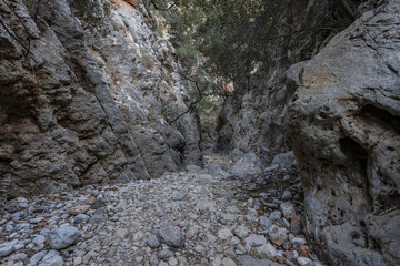 hiking trail in kritsa gorge 