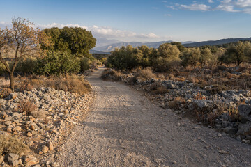 rural path in the moutains of crete