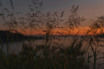 Montenegro landscapes: the way to the heart of nature