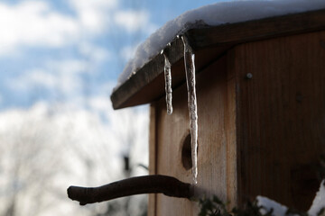 Vogelhaus im Winter mit Eiszapfen