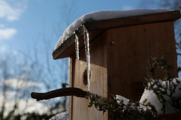 Vogelhaus im Winter mit Eiszapfen