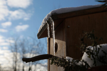 Vogelhaus im Winter mit Eiszapfen