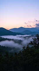 Serene Mountain Sunrise: A breathtaking panorama of rolling hills, shrouded in mist, as the sun paints the sky with hues of pink and blue.  A tranquil and picturesque scene.