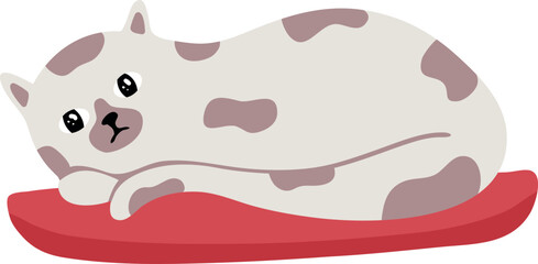 White cat with gray spots resting comfortably on a vibrant red pillow, savoring a tranquil moment of peace and relaxation in a cozy indoor setting