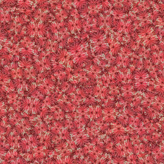 Red anthurium flower collage motif random pattern