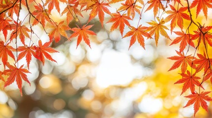 A bunch of red and yellow leaves hanging from a tree
