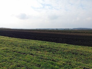 Field landscape with green wheat crops. Beautiful autumn fields with winter wheat.