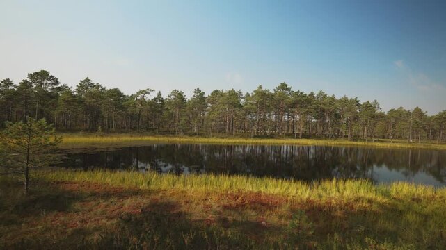 Viru Raba swamp lake in Estonia.