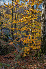 Obraz premium Suuctu waterfalls in Mustafakemalpasa, Bursa