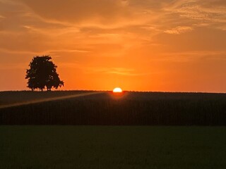 Sonnenuntergang über dem Wälkesberg bei Menden im Sauerland	