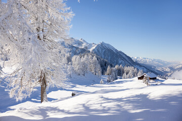Winter scene with traditional alpine hut and snowy forest. Austrian Alps