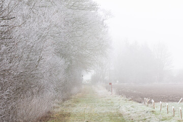 frosty hedge beside path and field in Lincolnshire