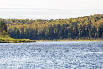 Autumn landscape - river and yellow-green trees in the background