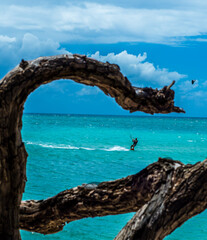 Framed surfer