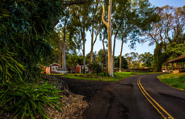 A village on Maui