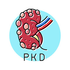 polycystic kidney disease color icon vector. polycystic kidney disease sign. isolated symbol illustration