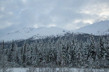 snow covered mountain
