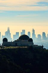 panoramic view of the megalopolis with skyscrapers